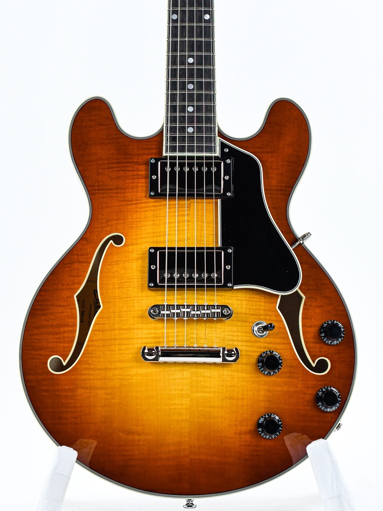 Eastman T484 Goldburst | The Fellowship of Acoustics